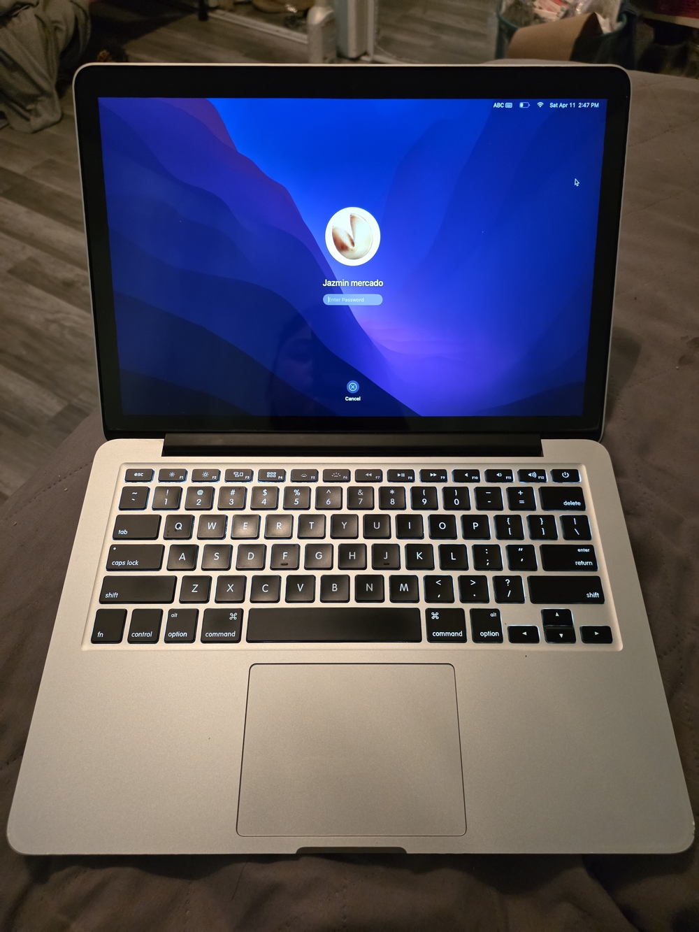 Apple MacBook Pro 12,1 Silver